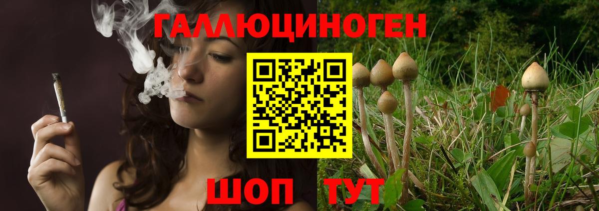 Волгодонск  закладки  Вход с VPN  Галлюциногенные грибы Magic Shrooms  Галлюциногенные грибы Psilocybine cubensis 